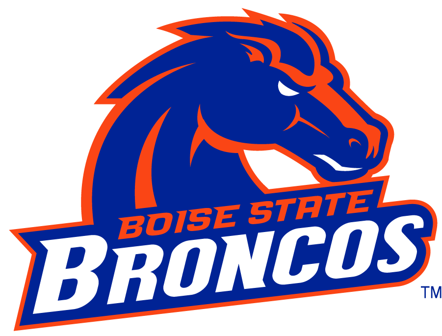 Boise State Broncos 2002-2012 Secondary Logo v13 DIY iron on transfer (heat transfer)